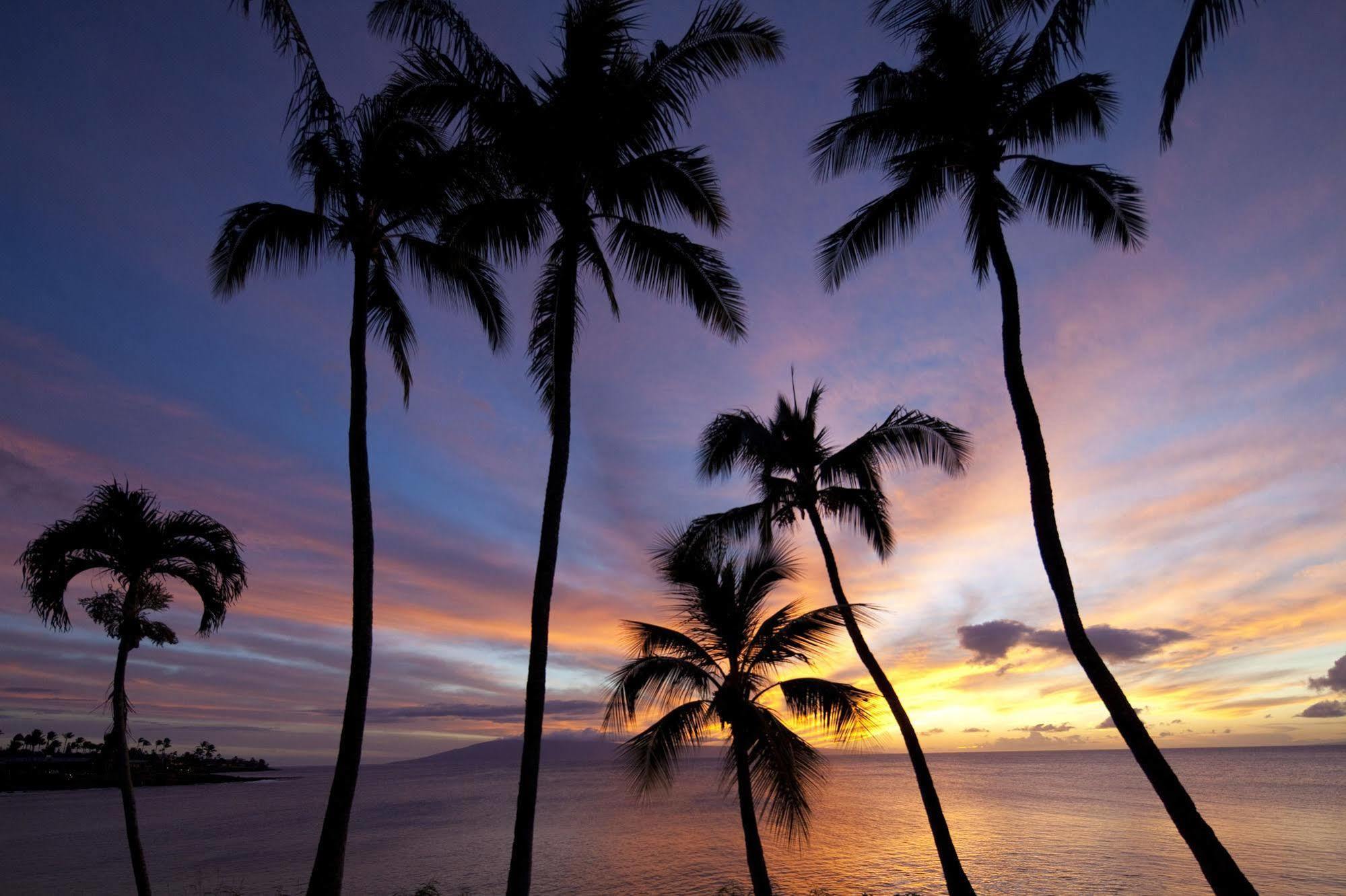 Napili Kai Beach Resort Kapalua Eksteriør billede
